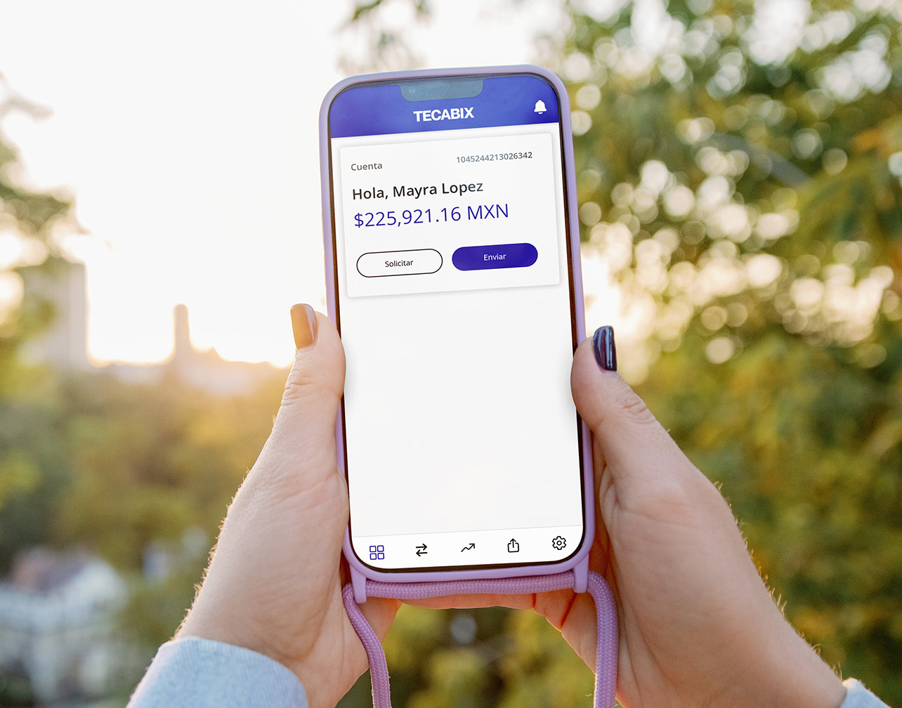 tecabix-wallet